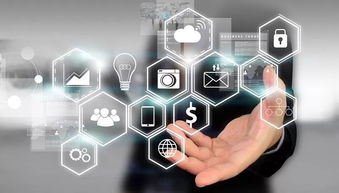 实力印证，沙溪品质红盘热销风潮的深度解析